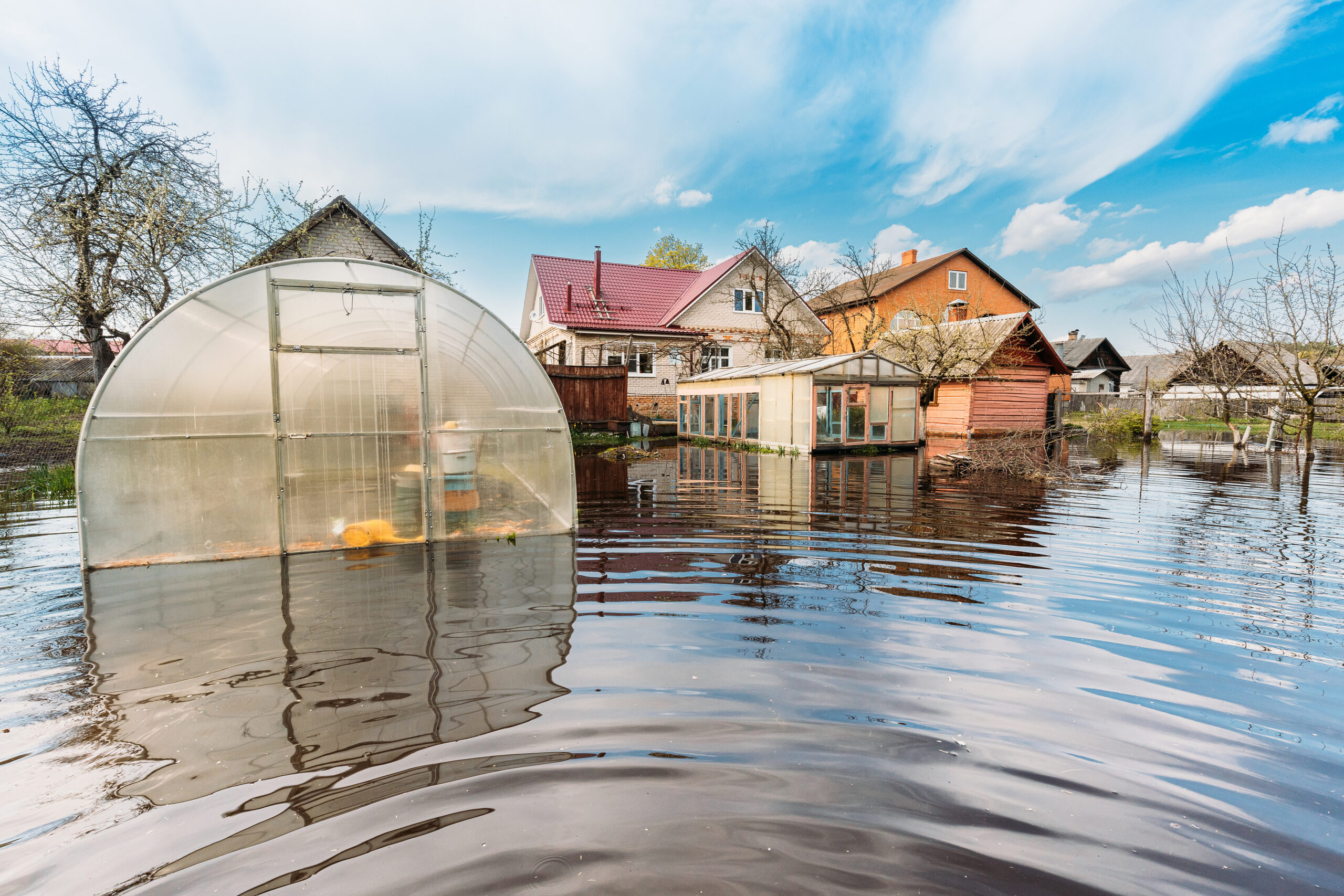 Vegetable garden soaked in floodwaters during heavy rainfall.