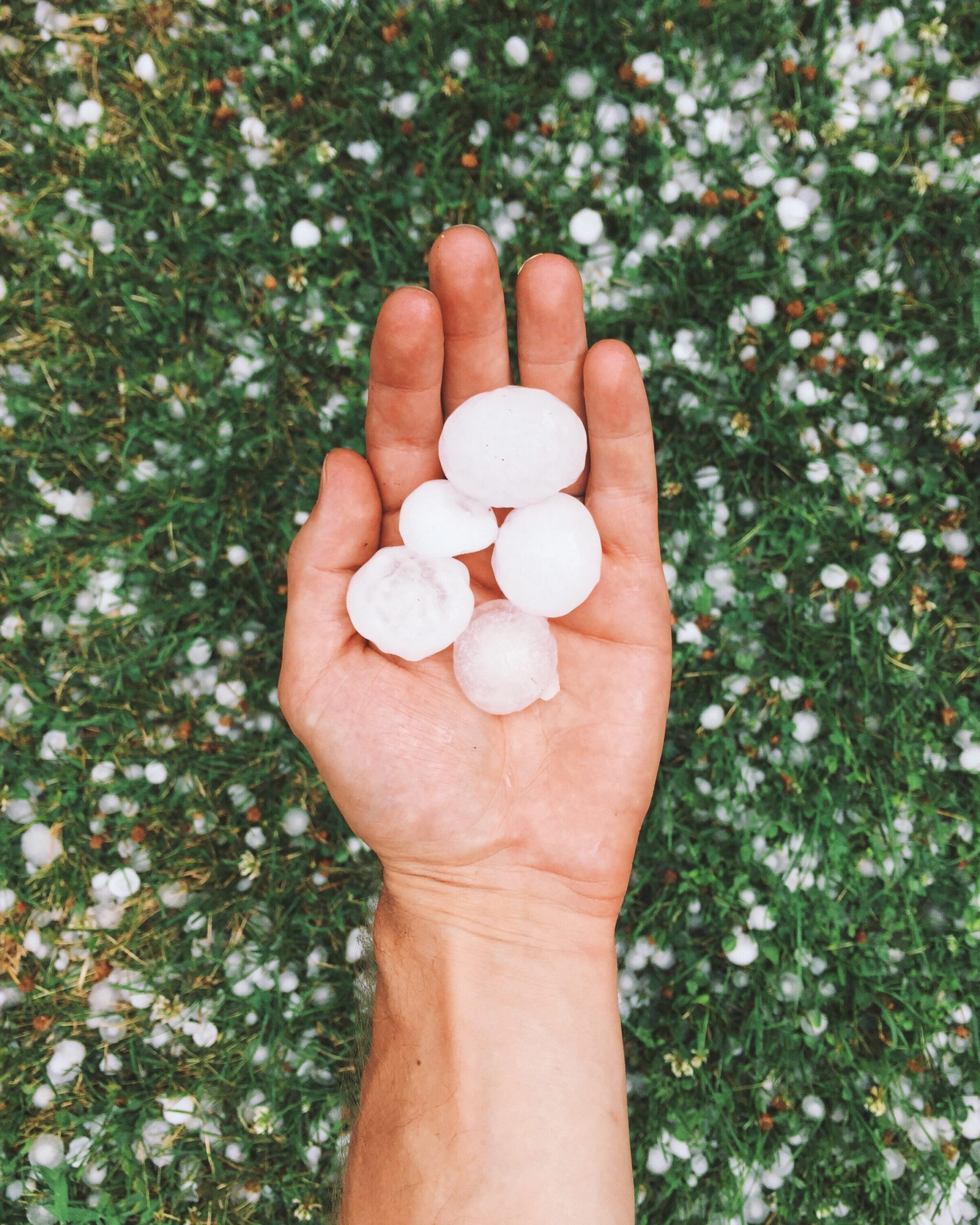 Five pieces of big hails in the hand.