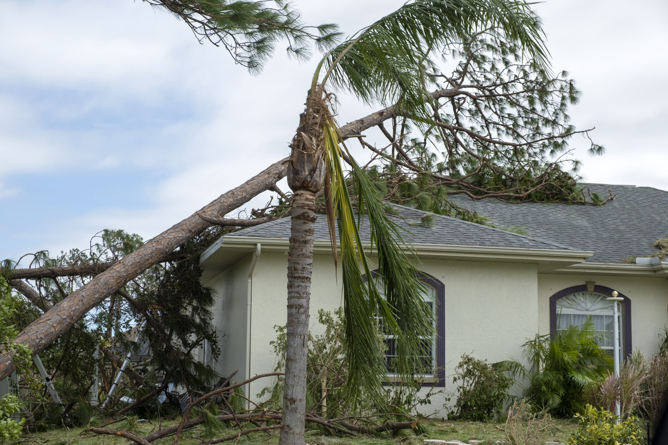 Damage to a house roof from uprooted tree after hurricane.
