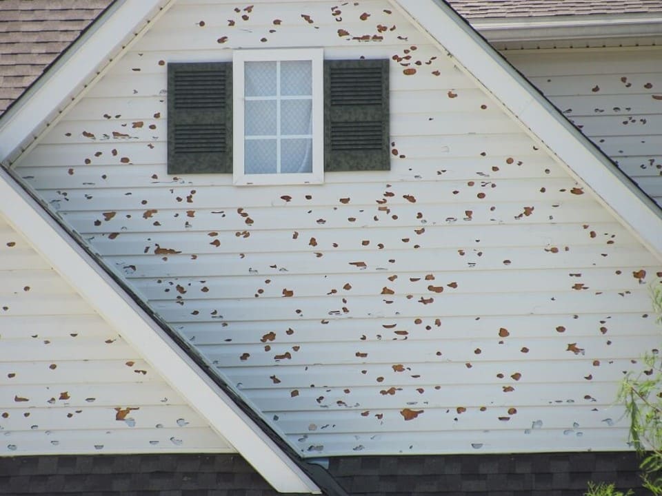 Hail Damage