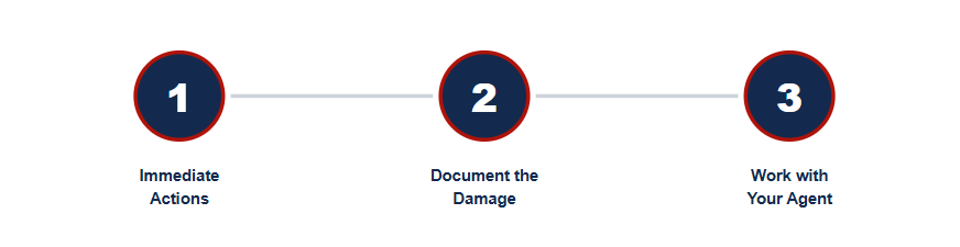
When Does Homeowners Insurance Cover Mold Damage?